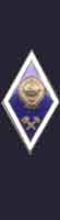 Нагрудный знак "Выпускник ВУЗа"