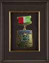 Distinguished Service Medal - "Honored Worker of Culture of the Kaluga Region"(Russia)